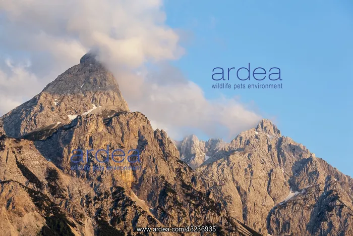 : Mount Ehrwalder Sonn Spitze and Mt. Gruensteinnear : Mount Ehrwalder Sonn Spitze and Mt. Gruensteinnear