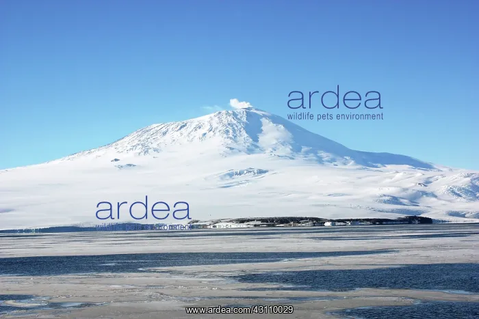 : Mount Erebus Eruption, Antarctica : Mount Erebus Eruption, Antarctica