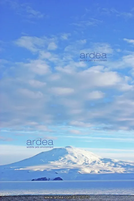 : Mount Erebus in the Sunlight : Mount Erebus in the Sunlight