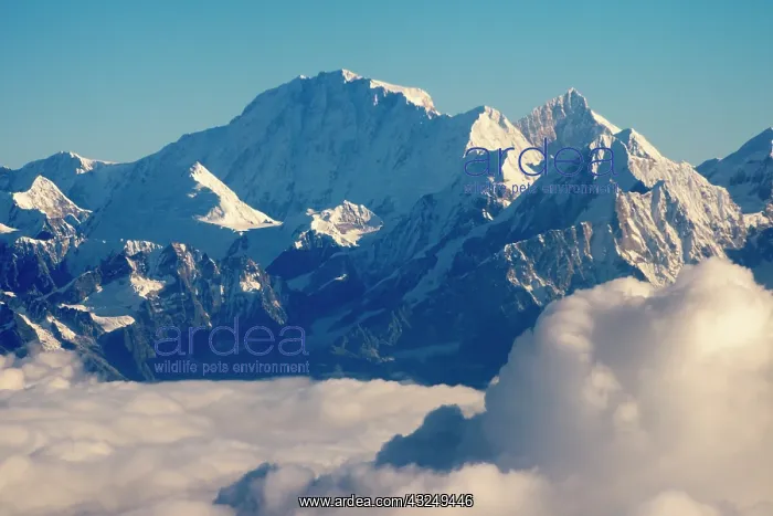 : Mount Everest (8848m) in the Himalayas above the : Mount Everest (8848m) in the Himalayas above the