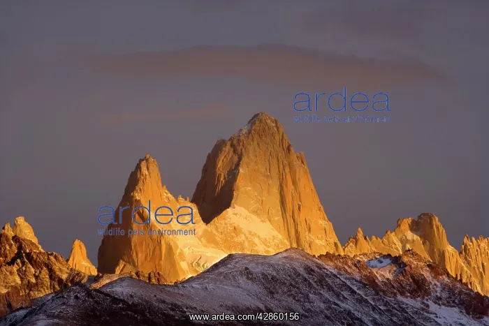 : Mount Fitz Roy - Cerro Fitz Roy at sunrise - Los : Mount Fitz Roy - Cerro Fitz Roy at sunrise - Los