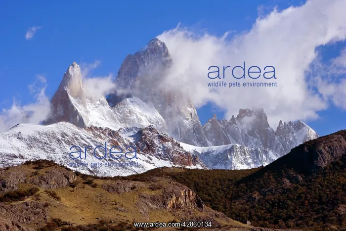 : Mount Fitz Roy - clouds gathering around Cerro Fitz Roy : Mount Fitz Roy - clouds gathering around Cerro Fitz Roy