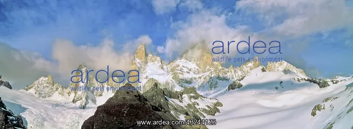 : Mount Fitz Roy seen from Laguna de Los Tres : Mount Fitz Roy seen from Laguna de Los Tres