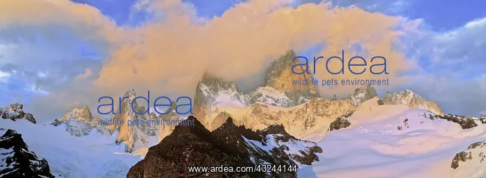: Mount Fitz Roy seen from Laguna de Los Tres : Mount Fitz Roy seen from Laguna de Los Tres