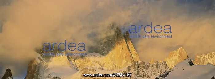 : Mount Fitz Roy seen from Laguna de Los Tres : Mount Fitz Roy seen from Laguna de Los Tres