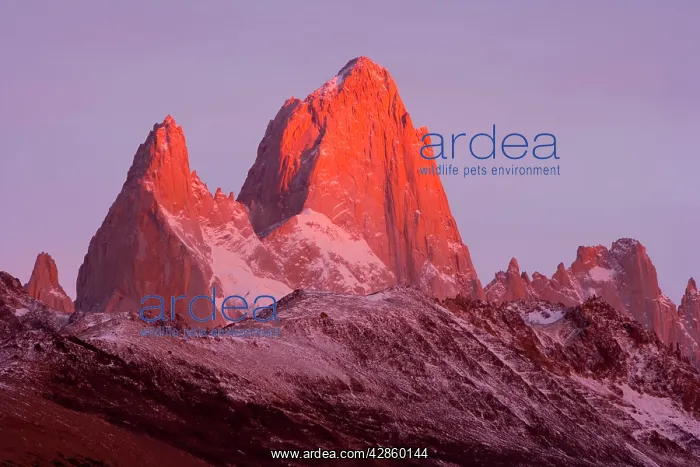 : Mount Fitz Roy at sunrise - alpenglow on Cerro : Mount Fitz Roy at sunrise - alpenglow on Cerro