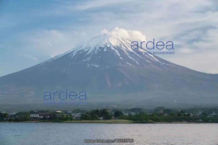 : Mount Fuji : Mount Fuji