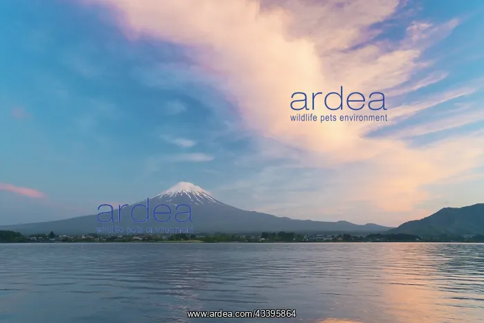 : Mount Fuji : Mount Fuji