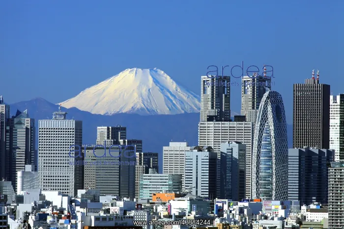 : Mount Fuji and Shinjuku skyscrapers Tokyo Japan Asia : Mount Fuji and Shinjuku skyscrapers Tokyo Japan Asia
