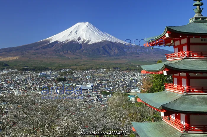 : Mount Fuji and five story pagoda Fujiyoshida city Yamanashi : Mount Fuji and five story pagoda Fujiyoshida city Yamanashi