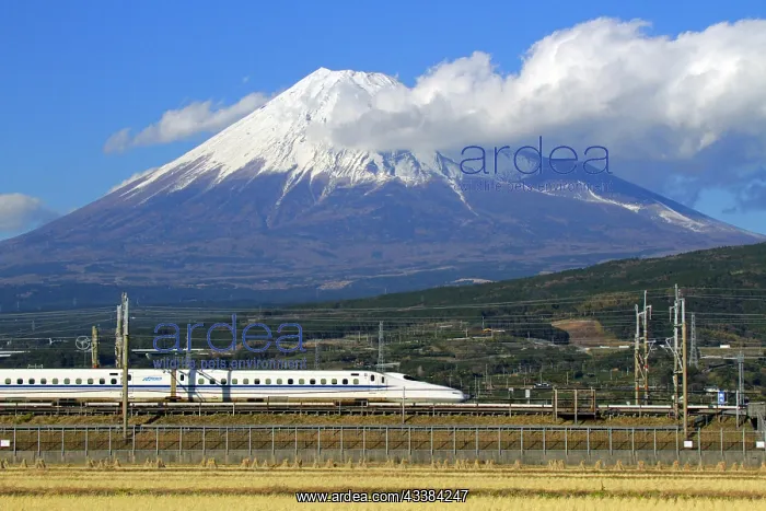 : Mount Fuji and Tokaido Shinkansen Shizuoka Japan : Mount Fuji and Tokaido Shinkansen Shizuoka Japan