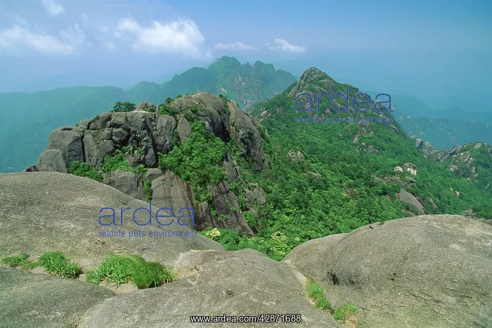 : Mount Huangshan : Mount Huangshan