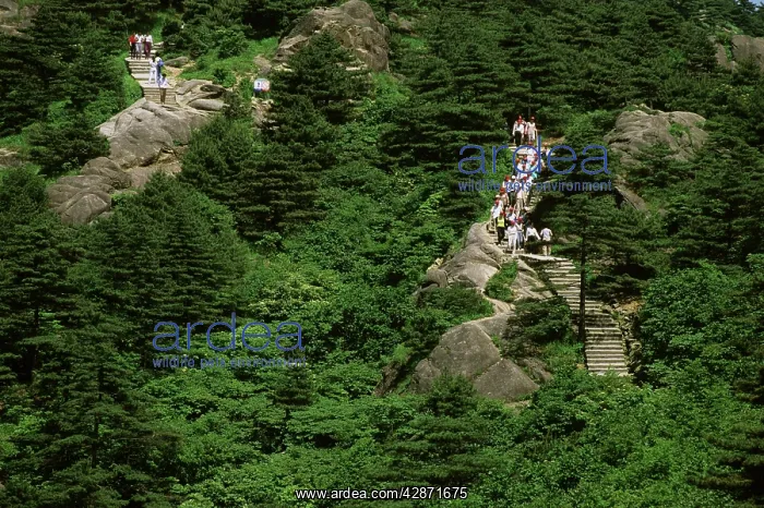 : Mount Huangshan 'The Yellow MountainsI : Mount Huangshan 'The Yellow MountainsI