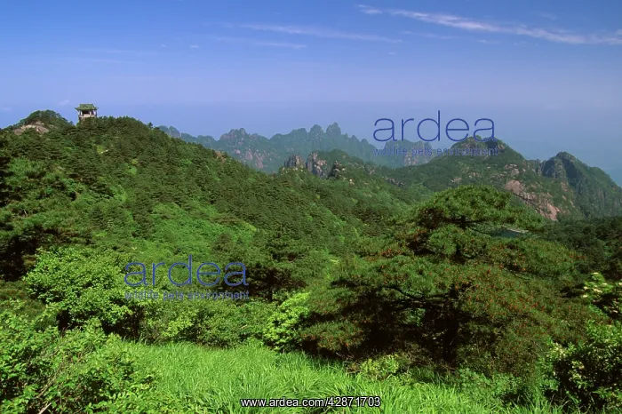 : Mount Huangshan 'The Yellow MountainsI : Mount Huangshan 'The Yellow MountainsI