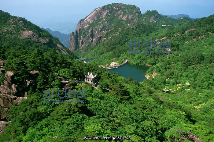 : Mount Huangshan 'The Yellow MountainsI : Mount Huangshan 'The Yellow MountainsI