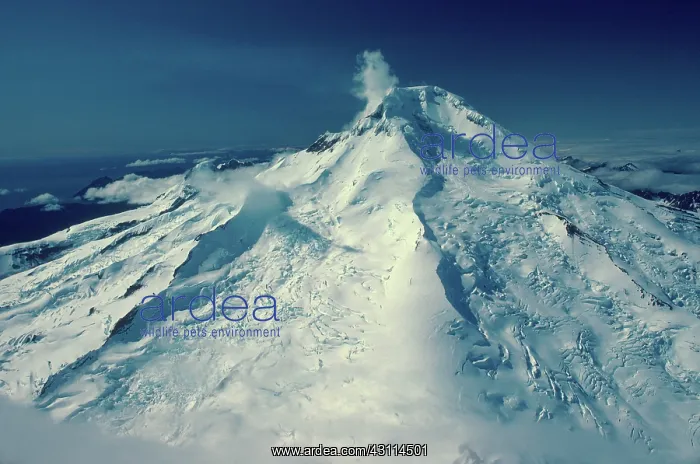 : Mount Iliamna : Mount Iliamna