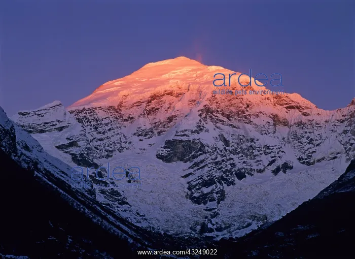 : Mount Jhomolari, Jigme Dorji National Park, Bhutan : Mount Jhomolari, Jigme Dorji National Park, Bhutan