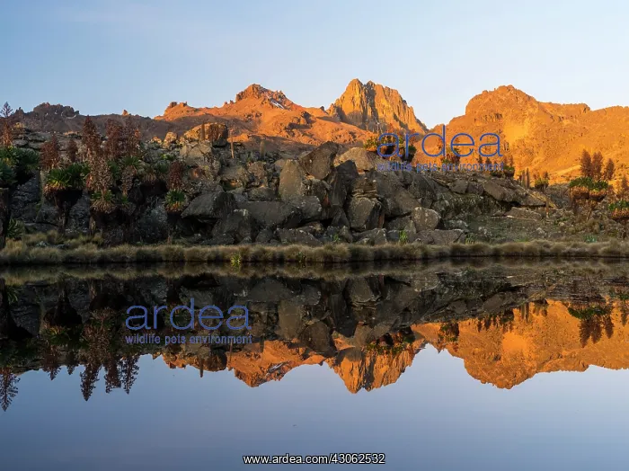 : Mount Kenya National Park (a UNESCO World : Mount Kenya National Park (a UNESCO World