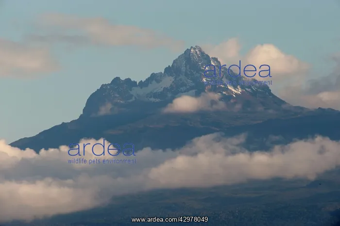: Mount Kilimanjaro - Mawenzo Peak : Mount Kilimanjaro - Mawenzo Peak