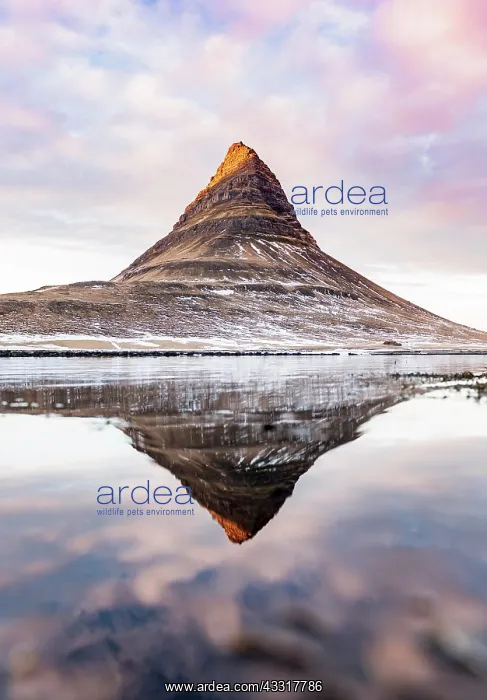 : Mount Kirkjufell reflected in the water, cloudy : Mount Kirkjufell reflected in the water, cloudy
