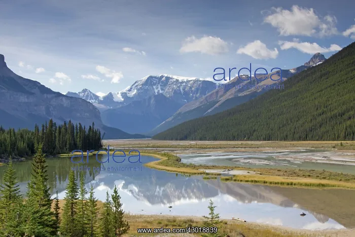  : Mount Kitchener reflection