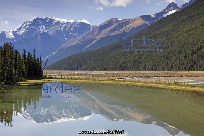  : Mount Kitchener reflection