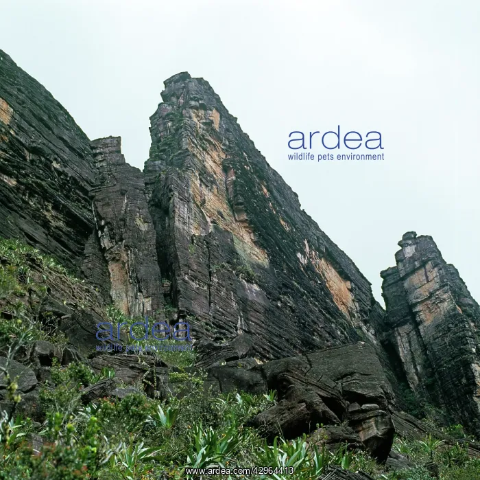 : Mount Kukenaam (Kukenan, Kukenan, Cuguenan) : Mount Kukenaam (Kukenan, Kukenan, Cuguenan)