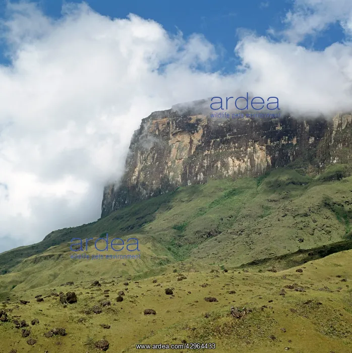 : Mount Kukenaam (Kukenan, Kukenan, Cuguenan) : Mount Kukenaam (Kukenan, Kukenan, Cuguenan)