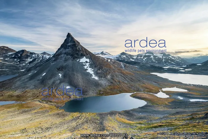 : Mount Kyrkja with mountain landscape and lakes : Mount Kyrkja with mountain landscape and lakes