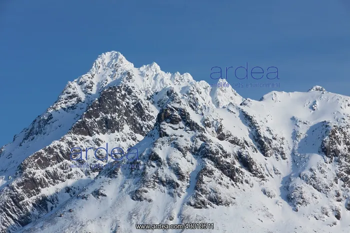  : Mount Langstrandtinden in winter snow