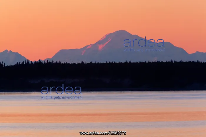 : Mount Mckinley / Denali - the higgest mountain : Mount Mckinley / Denali - the higgest mountain