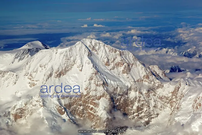 : Mount Mckinley / Denali - the higgest mountain : Mount Mckinley / Denali - the higgest mountain
