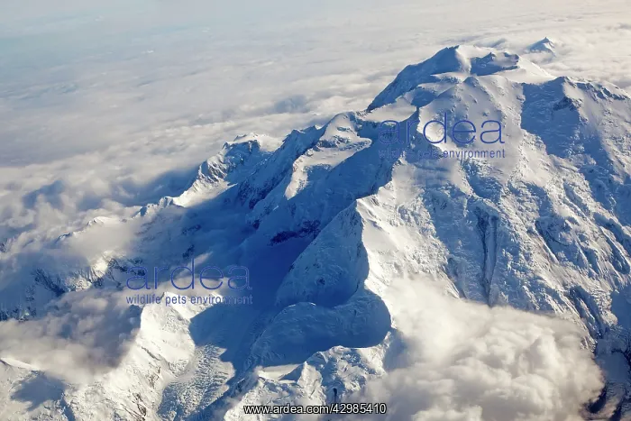: Mount Mckinley / Denali - the higgest mountain : Mount Mckinley / Denali - the higgest mountain