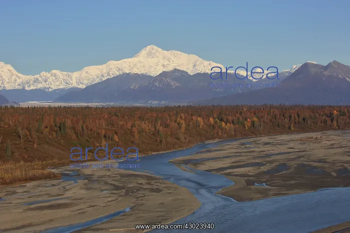 : Mount McKinley view from George Parks Highway : Mount McKinley view from George Parks Highway