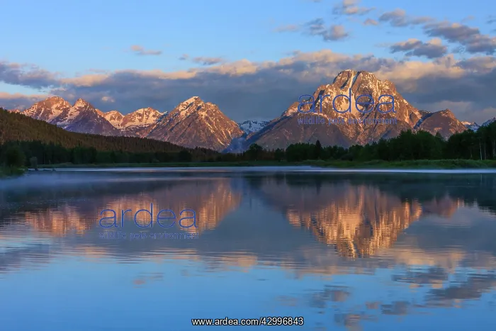 : Mount Moran - and Oxbow Bend - Snake River Grand : Mount Moran - and Oxbow Bend - Snake River Grand