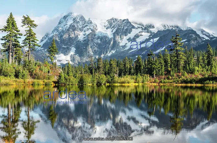 : Mount Mt. Shuksan with reflection in Picture Lake : Mount Mt. Shuksan with reflection in Picture Lake