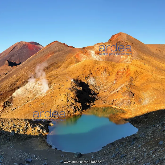 : Mount Ngauruhoe, Oceania, Tongariro Alpine Crossing : Mount Ngauruhoe, Oceania, Tongariro Alpine Crossing