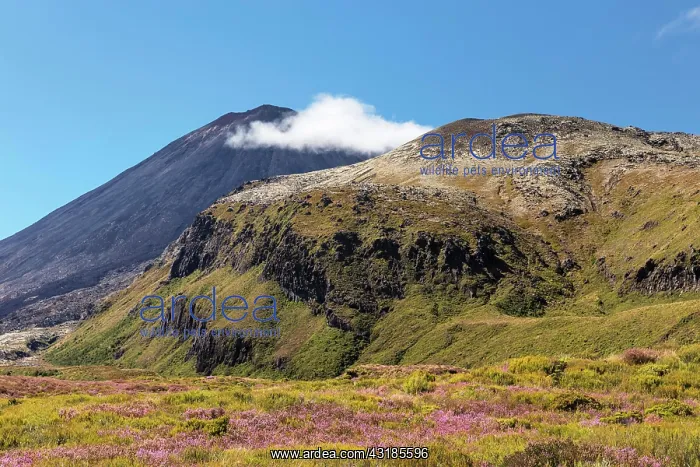 : Mount Ngauruhoe, Oceania, Tongariro National Park : Mount Ngauruhoe, Oceania, Tongariro National Park