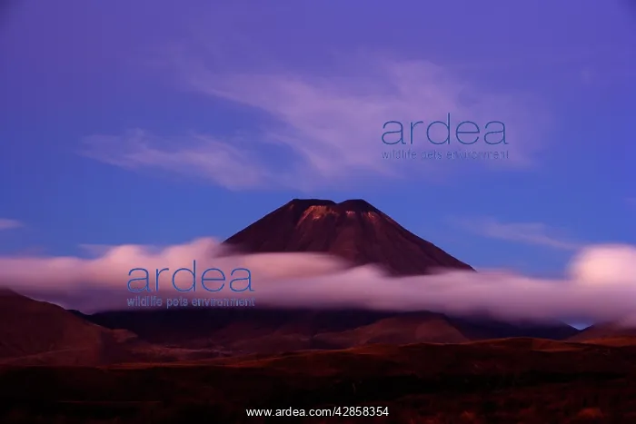 : Mount Ngauruhoe - peak of perfectly shaped volcanoe : Mount Ngauruhoe - peak of perfectly shaped volcanoe