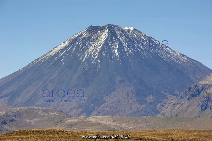 : Mount Ngauruhoe, Unesco world heritage sight Tongariro : Mount Ngauruhoe, Unesco world heritage sight Tongariro