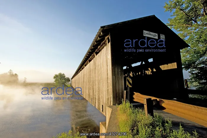 : The Mount Orne covered bridge spans the : The Mount Orne covered bridge spans the