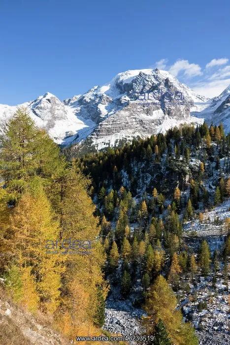 : Mount Ortler (3905m) in south Tyrol with : Mount Ortler (3905m) in south Tyrol with