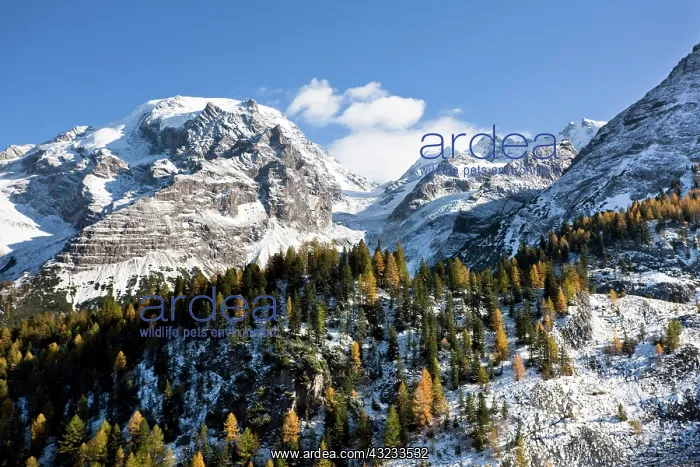 : Mount Ortler (3905m) in south Tyrol with : Mount Ortler (3905m) in south Tyrol with
