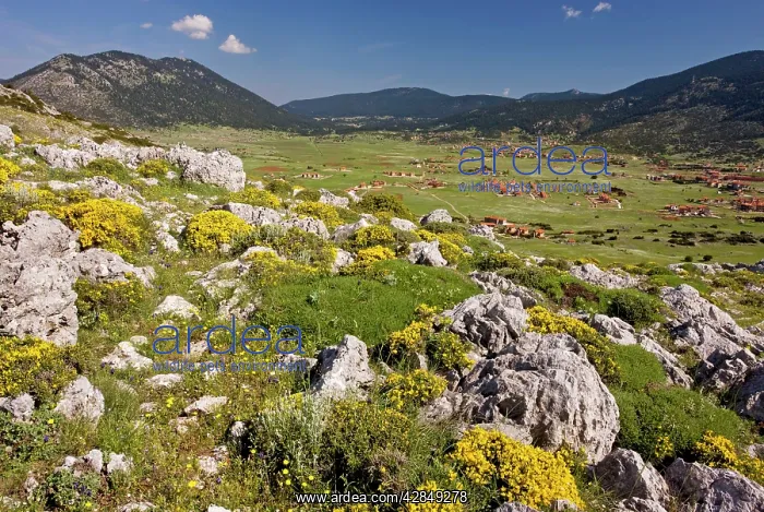 : Mount Parnassus: view across the plateau showing : Mount Parnassus: view across the plateau showing