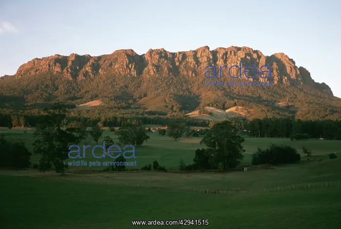: Mount Roland, near Sheffield, northwestern Tasmania : Mount Roland, near Sheffield, northwestern Tasmania