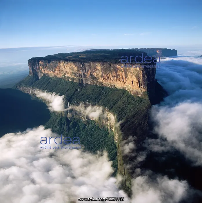 : Mount Roraima (Cerro Roraima) from the north : Mount Roraima (Cerro Roraima) from the north