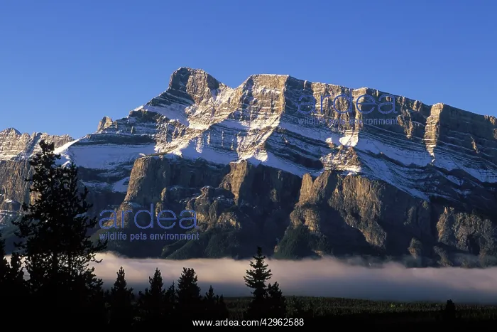 : Mount Rundle above foggy Banff valley : Mount Rundle above foggy Banff valley