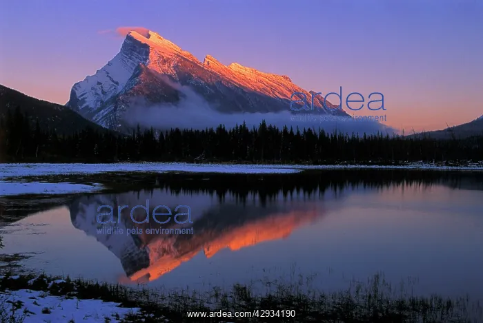 : Mount Rundle reflecting in Vermillion Lakes at sunset : Mount Rundle reflecting in Vermillion Lakes at sunset
