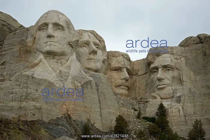: Mount Rushmore National Memorial : Mount Rushmore National Memorial