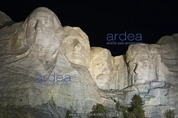 : Mount Rushmore National Memorial, at night, South : Mount Rushmore National Memorial, at night, South